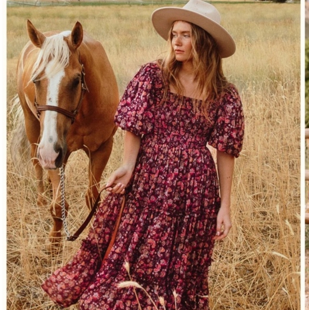Ivy City Co Stephanie Dress 2X